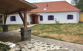 Sadhana Yoga Retreat Centre